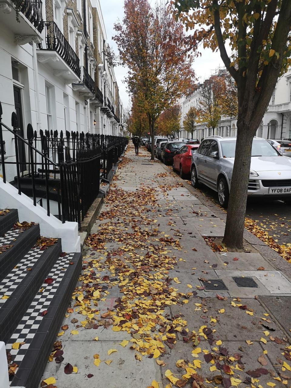 شقة Victoria Style Flat Near Victoria Station لندن المظهر الخارجي الصورة